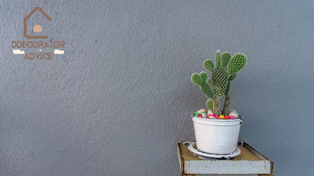 Everything You Need to Know About DecoratorAdvice.com