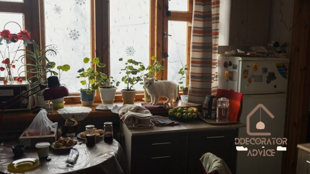 The Inspiring Journey of dpzhuk znnkberin Blog Writer at DecoratorAdvice