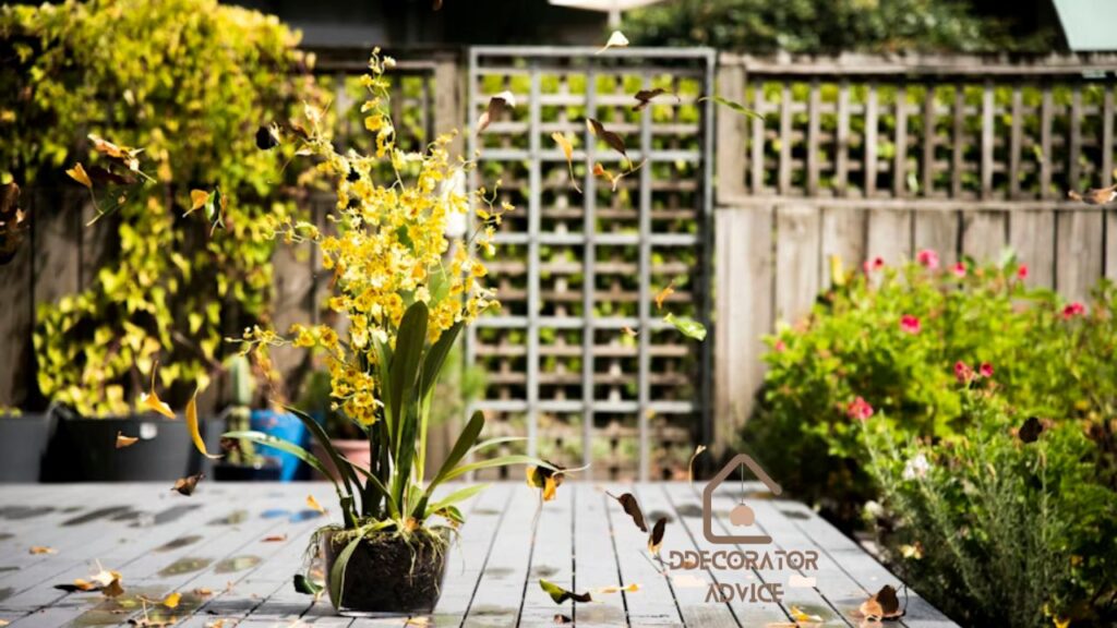 Decoradyard Garden Tips