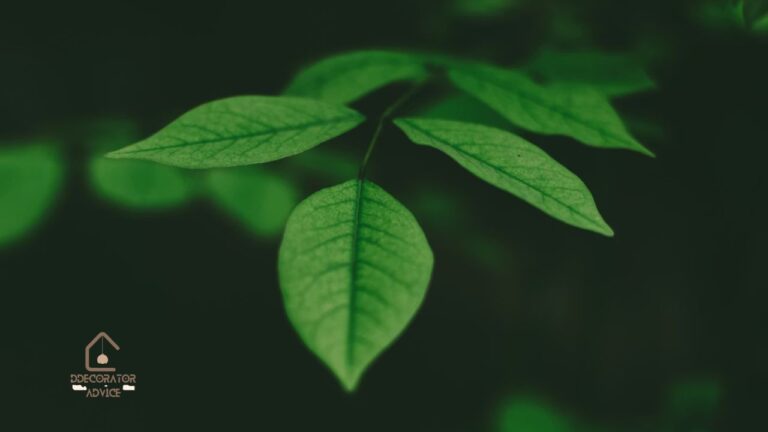 Latest News MyGreenBucksNet What’s New, What’s Changed, and Why It Matters