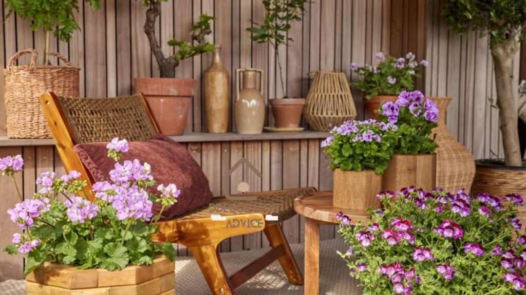 Transform Your Outdoor Space with Decoradyard Garden Tips by DecoratorAdvice